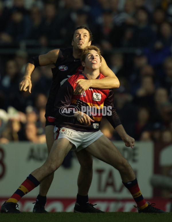 AFL 2002 Rd 9 - Carlton v Adelaide - 130052