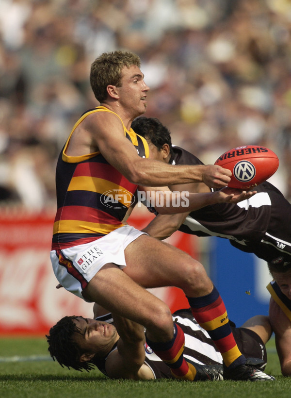 AFL 2002 1st Preliminary Final - Collingwood v Adelaide - 129993