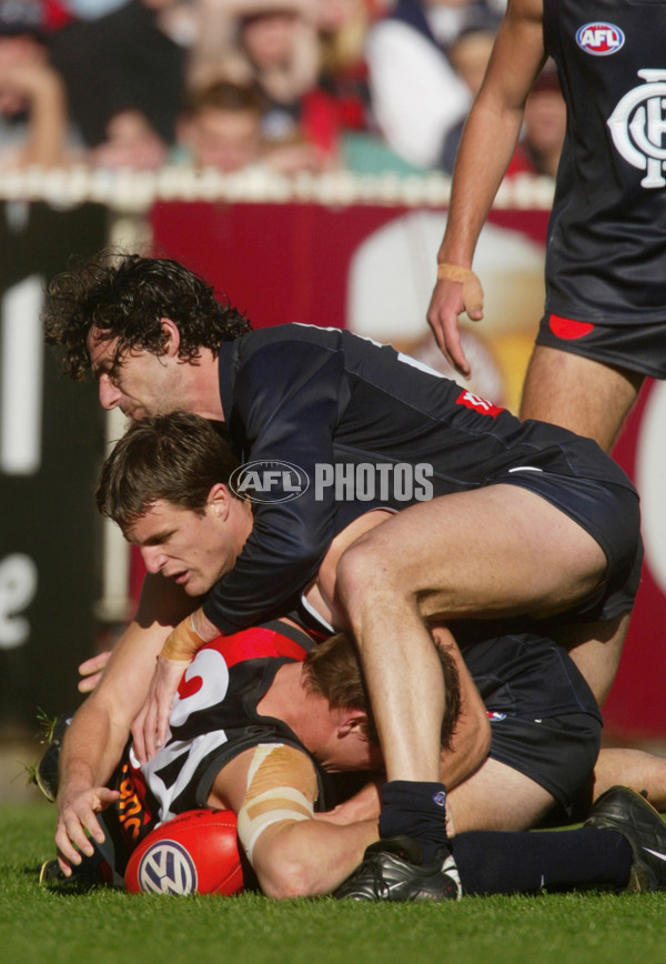AFL 2002 Rd 22 - Carlton v Essendon - 131472