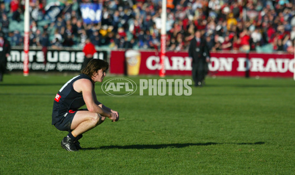 AFL 2002 Rd 22 - Carlton v Essendon - 131469