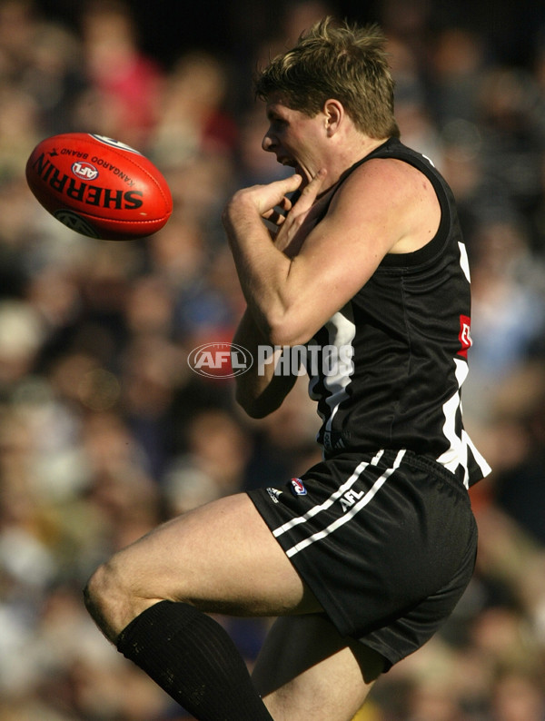 AFL 2002 Rd 15 - Collingwood v Geelong - 131639