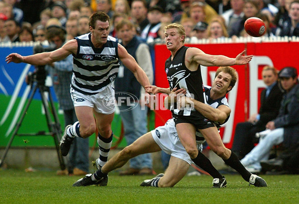 AFL 2002 Rd 15 - Collingwood v Geelong - 131622