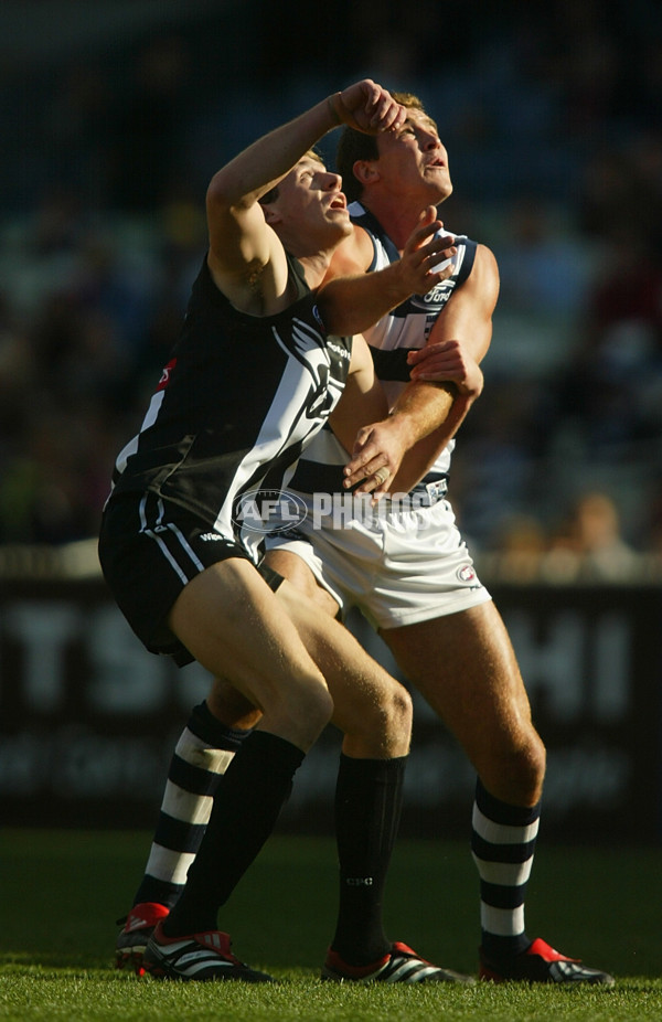 AFL 2002 Rd 15 - Collingwood v Geelong - 131633