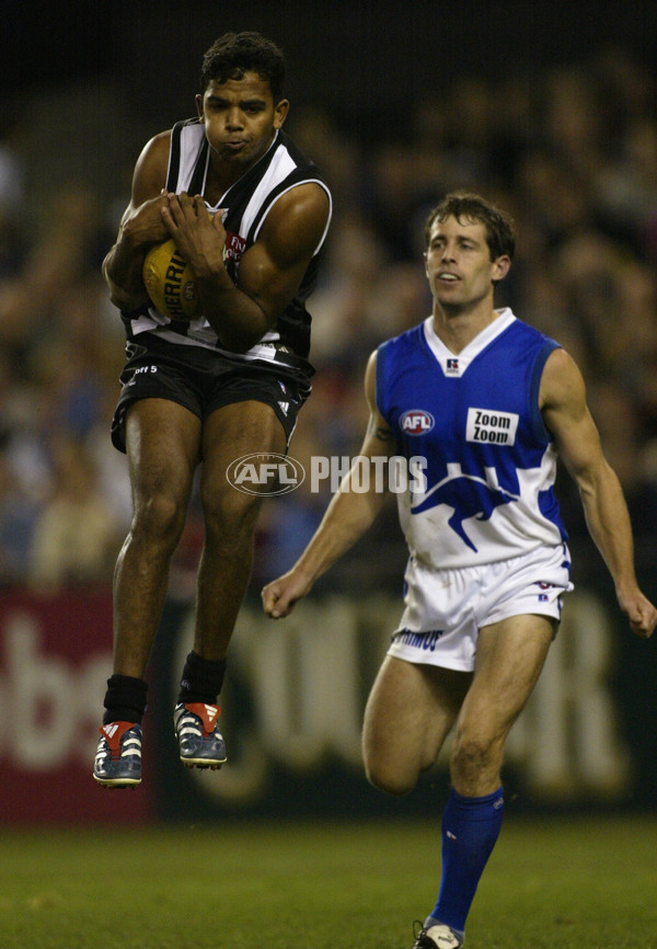 AFL 2002 Rd 13 - Collingwood v Kangaroos - 131693