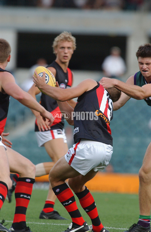 AFL 2002 Wizard Cup Match - Fremantle v Essendon - 132079