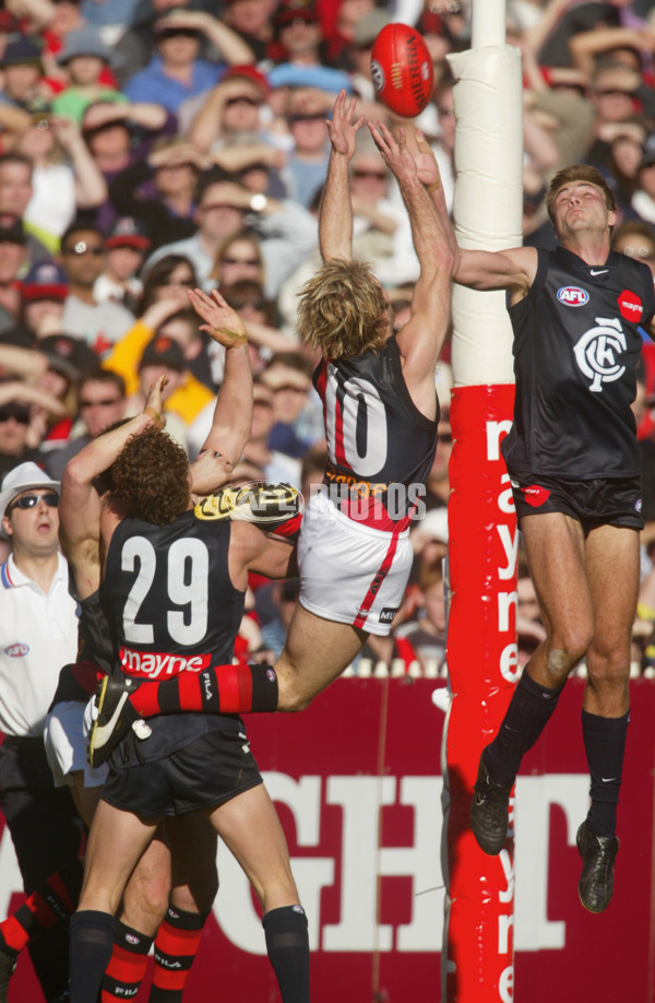 AFL 2002 Rd 22 - Carlton v Essendon - 132261