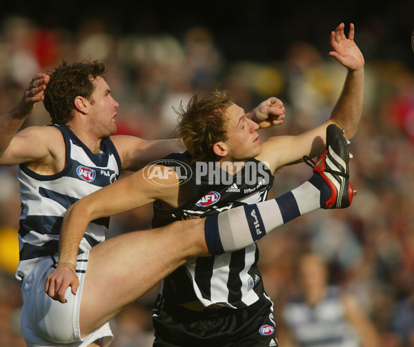 AFL 2002 Rd 15 - Collingwood v Geelong - 132807