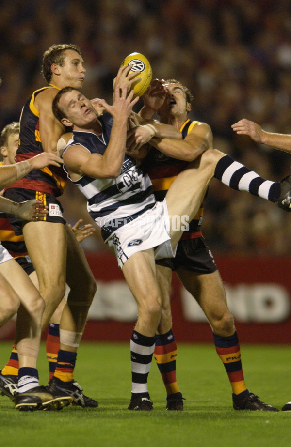 AFL 2002 Rd 2 - Adelaide v Geelong - 132733