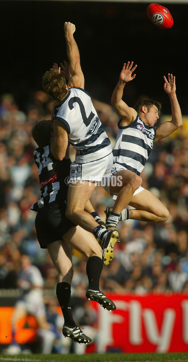 AFL 2002 Rd 15 - Collingwood v Geelong - 132801