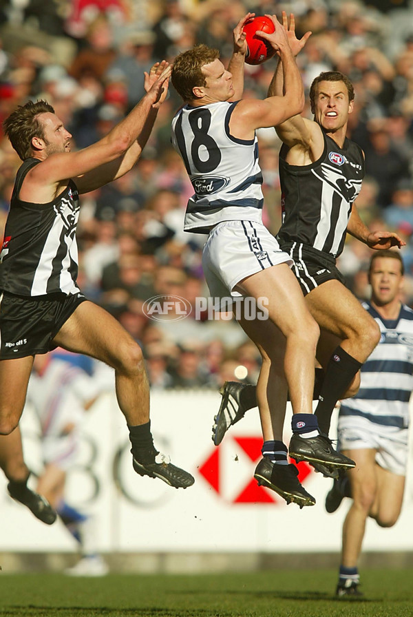 AFL 2002 Rd 15 - Collingwood v Geelong - 132809