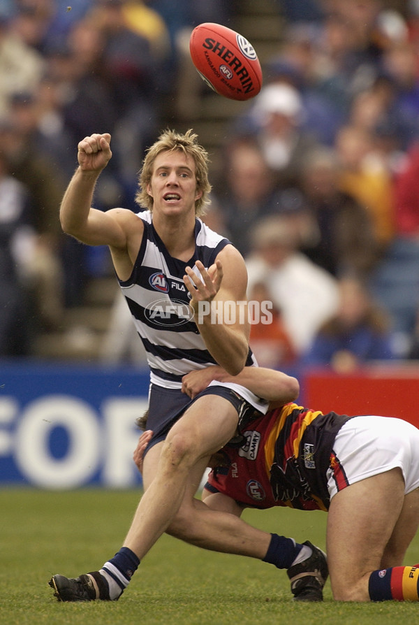AFL 2002 Rd 17 - Geelong v Adelaide - 132849