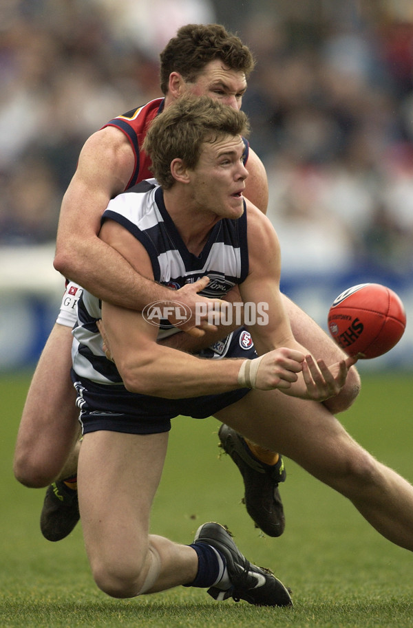 AFL 2002 Rd 17 - Geelong v Adelaide - 132852