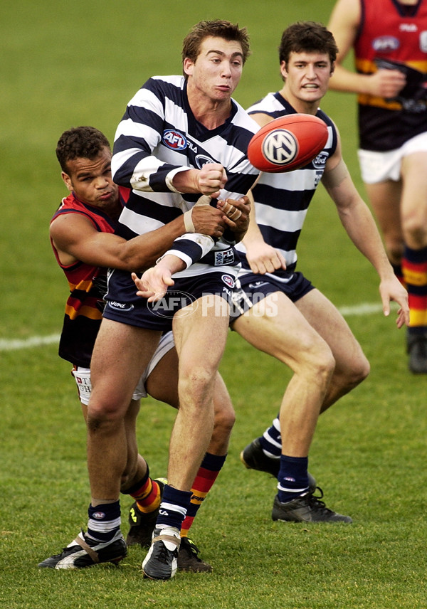 AFL 2002 Rd 17 - Geelong v Adelaide - 132856