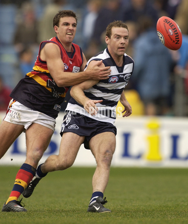 AFL 2002 Rd 17 - Geelong v Adelaide - 132859