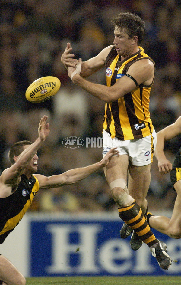 AFL 2002 Rd 20 - Richmond v Hawthorn - 133415