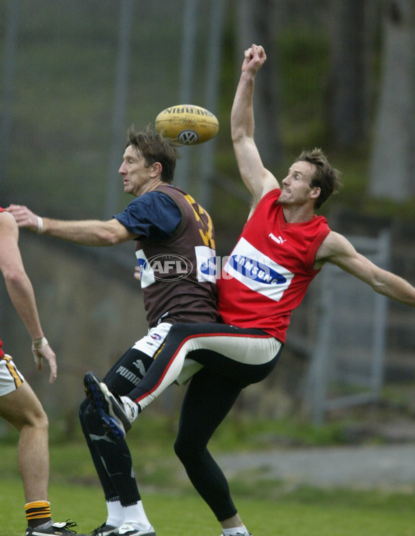 AFL 2002 Media - Hawthorn Training 200802 - 133406