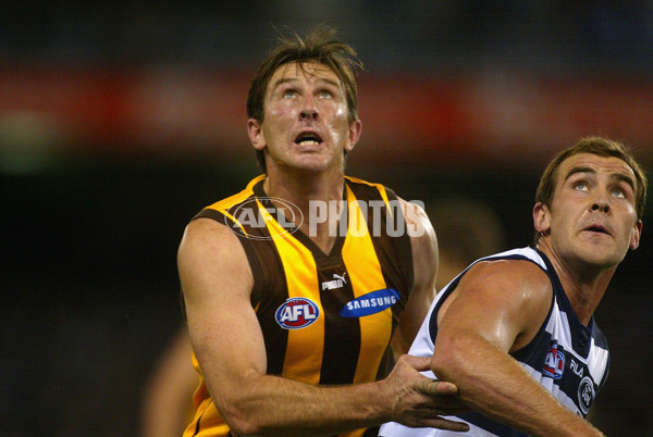 AFL 2002 Rd 22 - Geelong v Hawthorn - 133434