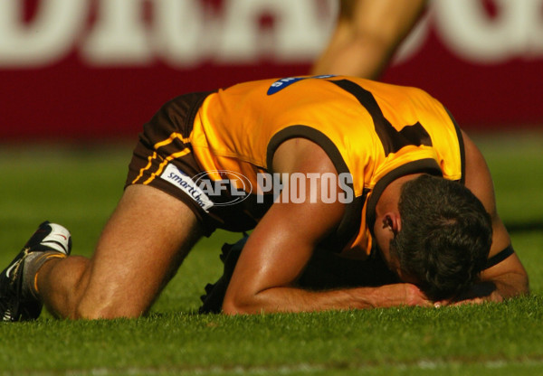 AFL 2002 Rd 1 - Hawthorn v Melbourne - 133326
