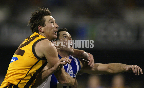 AFL 2002 Rd 21 - Hawthorn v Kangaroos - 133420