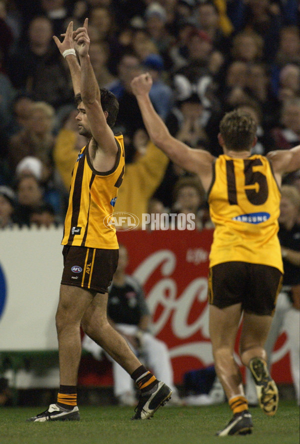 AFL 2002 Rd 19 - Hawthorn v Collingwood - 133403