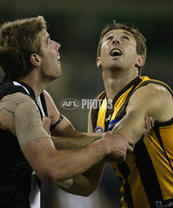 AFL 2002 Rd 19 - Hawthorn v Collingwood - 133392