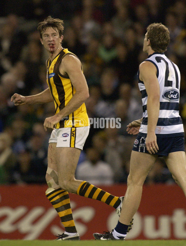 AFL 2002 Rd 22 - Geelong v Hawthorn - 133440