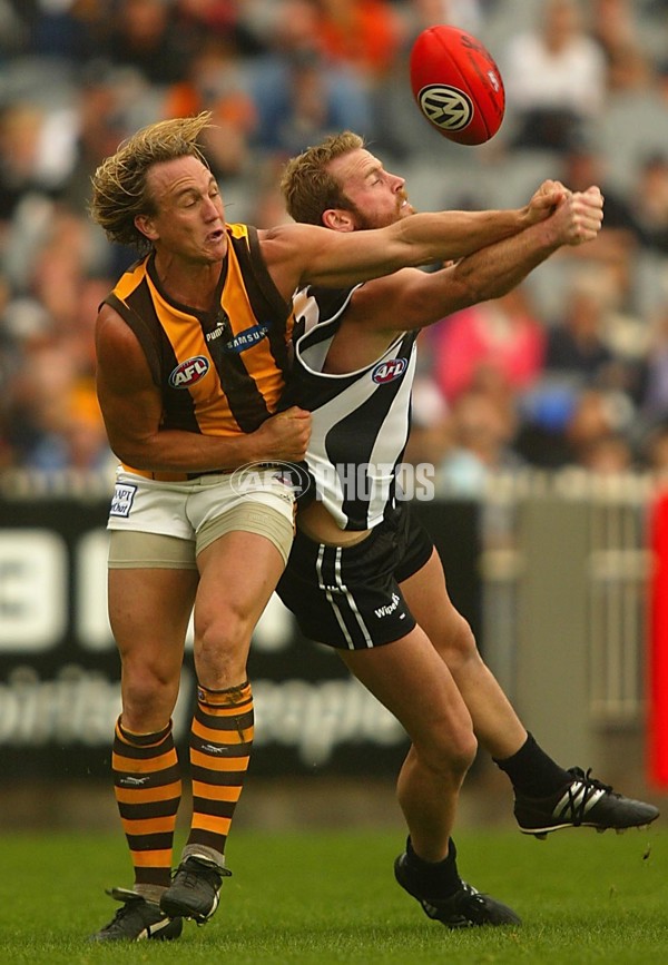 AFL 2002 Rd 4 - Collingwood v Hawthorn - 133479