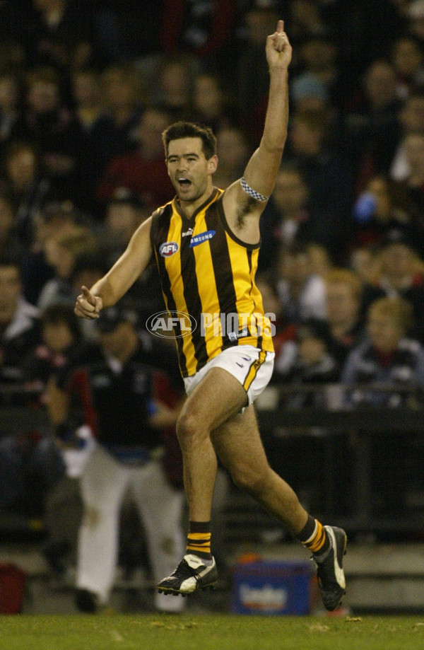 AFL 2002 Rd 13 - Hawthorn v St Kilda - 133495