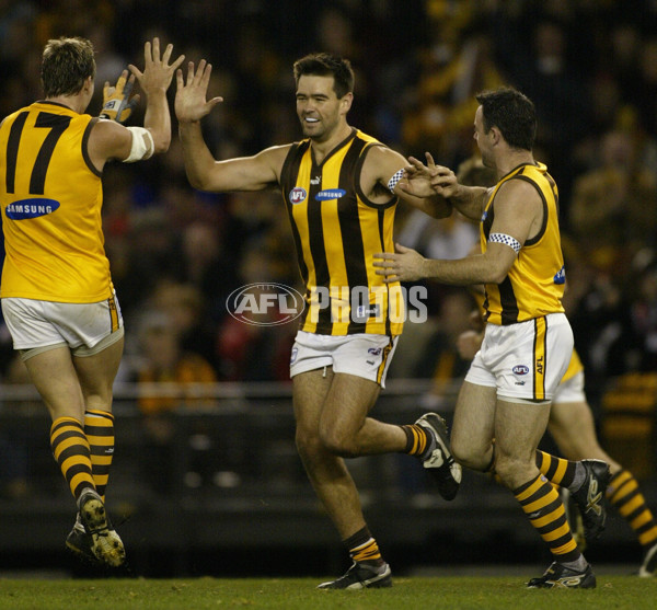 AFL 2002 Rd 13 - Hawthorn v St Kilda - 133494