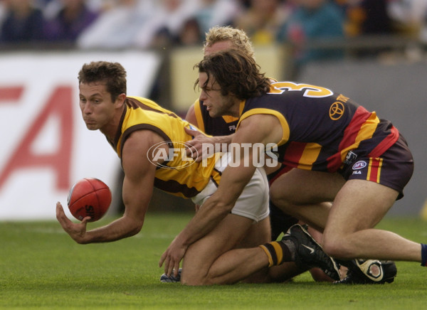 AFL 2002 Rd 11 - Adelaide v Hawthorn - 133477