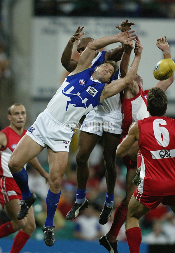 AFL 2002 Rd 4 - Sydney v Kangaroos - 133575