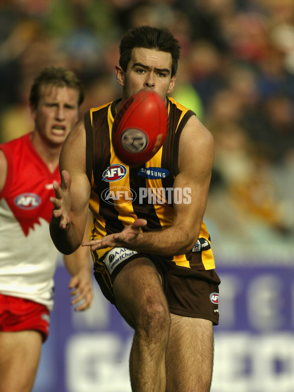 AFL 2002 Rd 14 - Hawthorn v Sydney - 133510