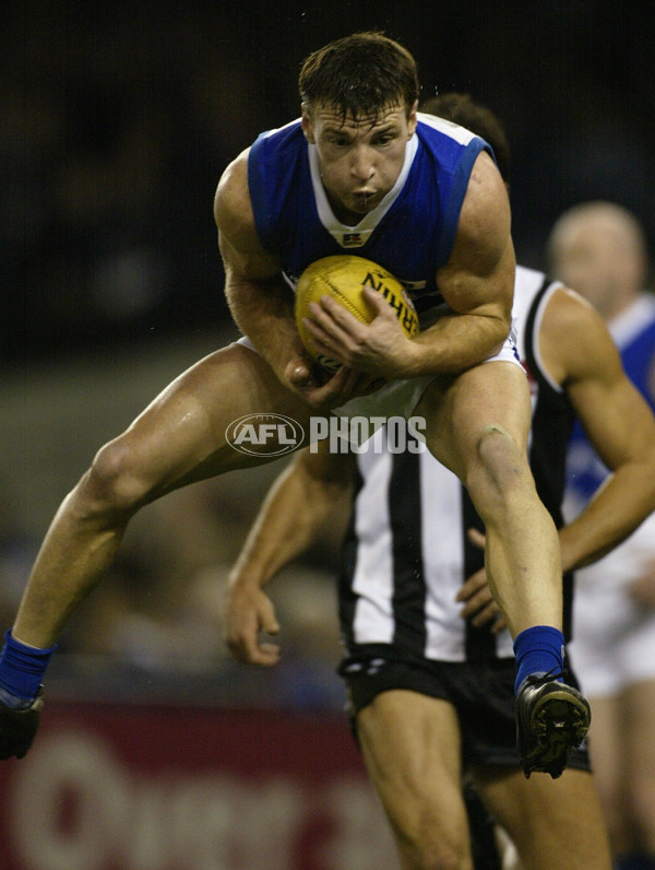 AFL 2002 Rd 13 - Collingwood v Kangaroos - 133799