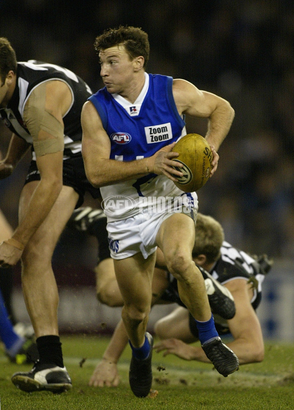 AFL 2002 Rd 13 - Collingwood v Kangaroos - 133796