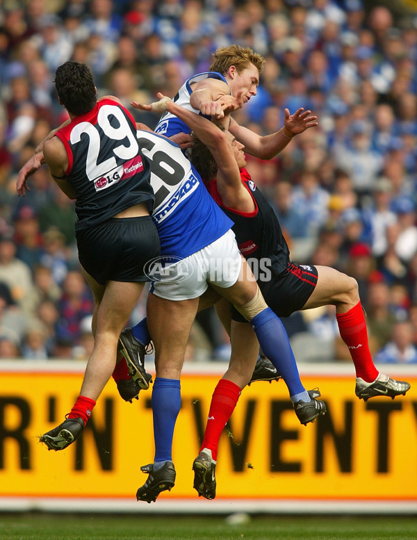 AFL 2002 2nd Elimination Final - Melbourne v Kangaroos - 133913
