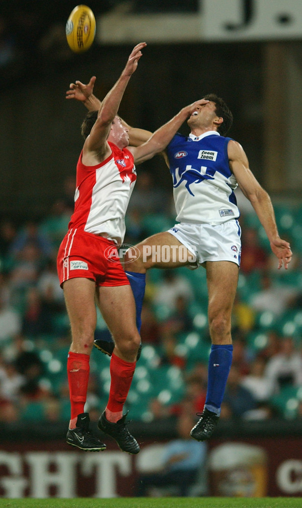 AFL 2002 Rd 4 - Sydney v Kangaroos - 134026