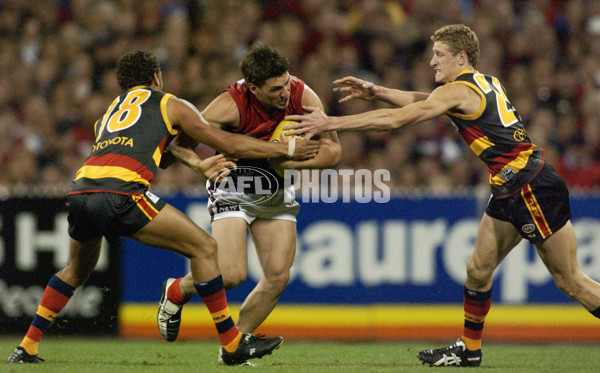 AFL 2002 2nd Semi Final - Adelaide v Melbourne - 134305