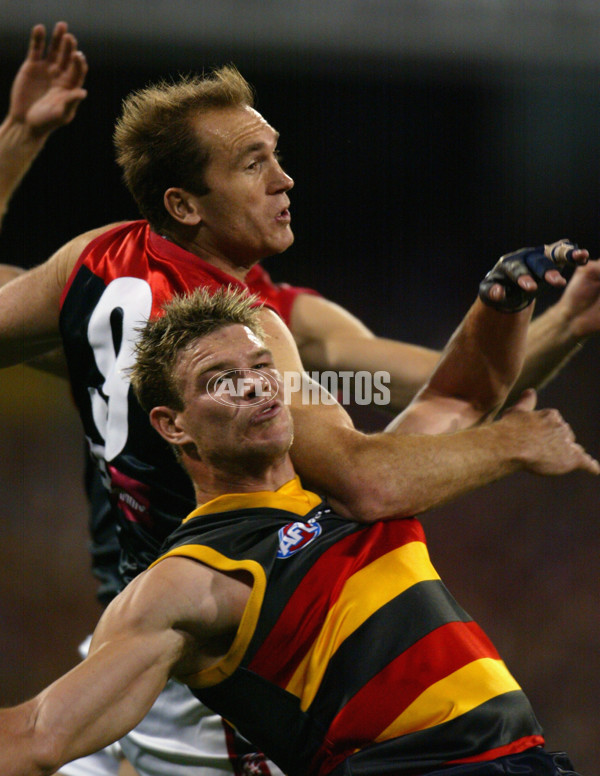 AFL 2002 2nd Semi Final - Adelaide v Melbourne - 134309
