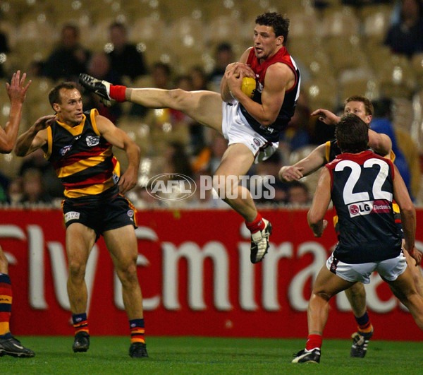 AFL 2002 2nd Semi Final - Adelaide v Melbourne - 134310