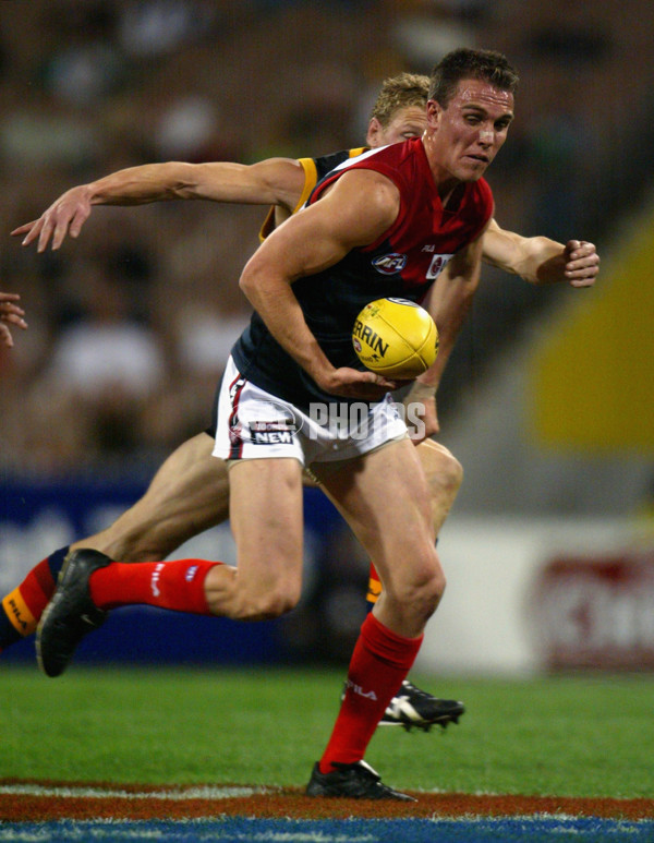 AFL 2002 2nd Semi Final - Adelaide v Melbourne - 134316