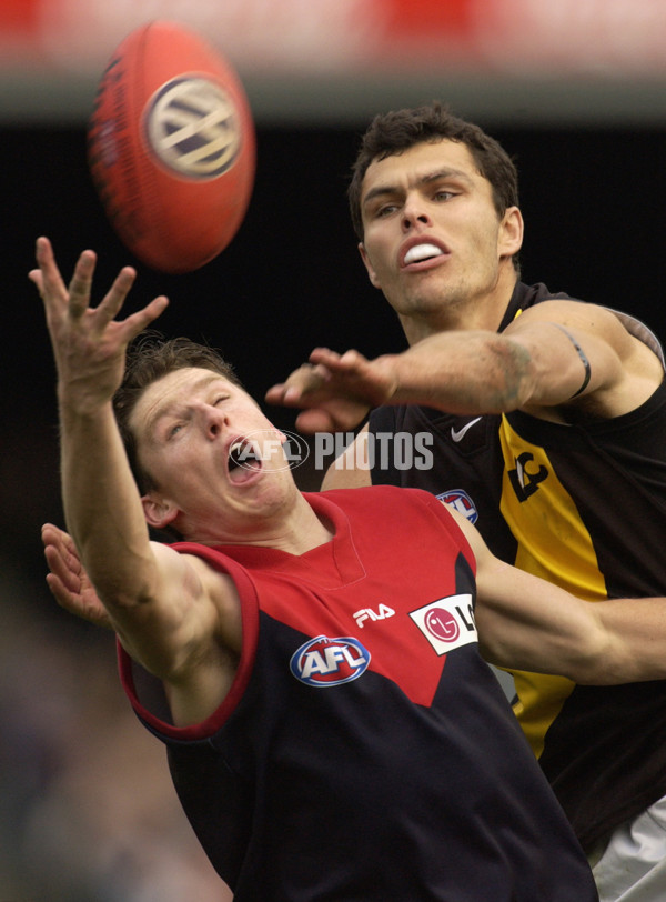 AFL 2002 Rd 18 - Melbourne v Hawthorn - 134195