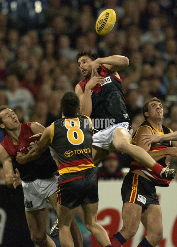 AFL 2002 2nd Semi Final - Adelaide v Melbourne - 134303