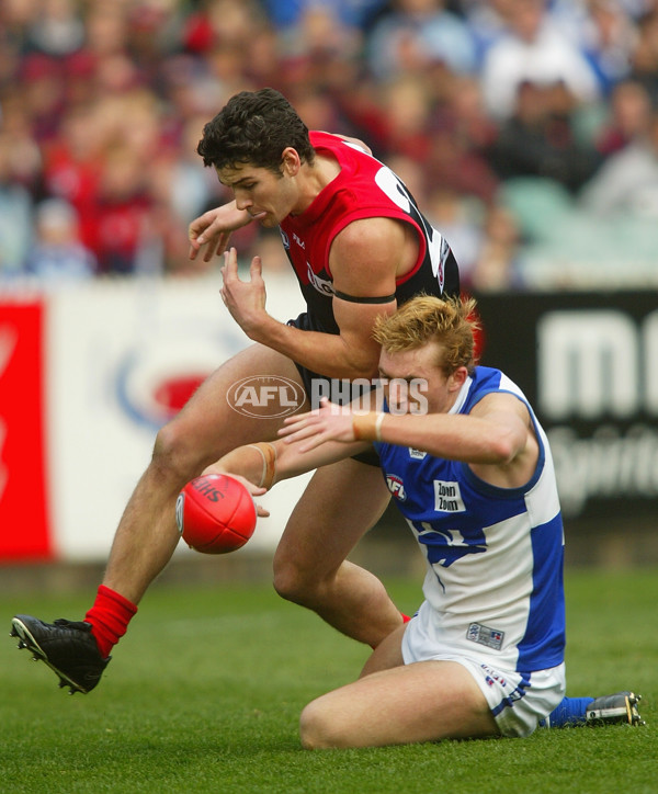 AFL 2002 2nd Elimination Final - Melbourne v Kangaroos - 134289