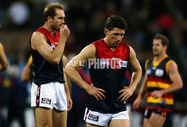 AFL 2002 2nd Semi Final - Adelaide v Melbourne - 134307