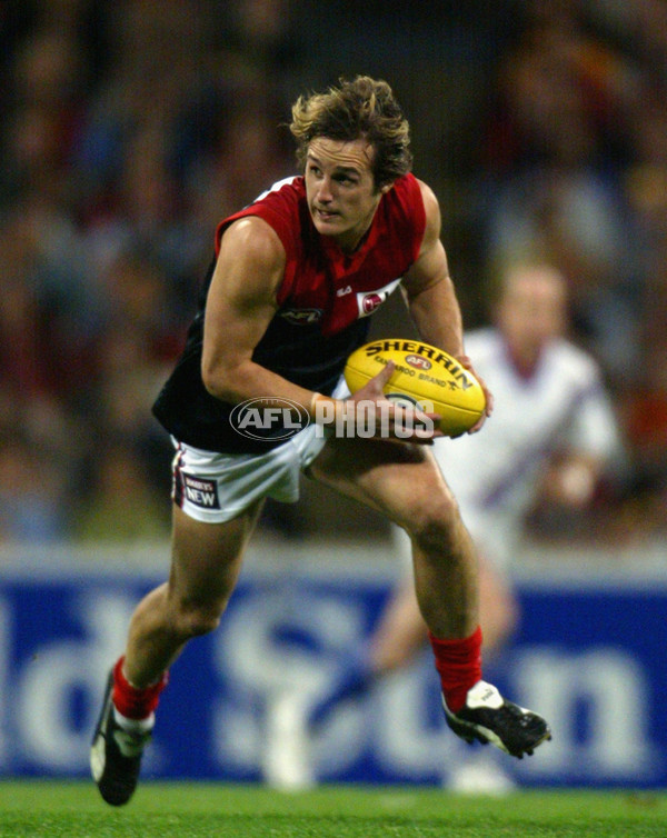 AFL 2002 2nd Semi Final - Adelaide v Melbourne - 134311