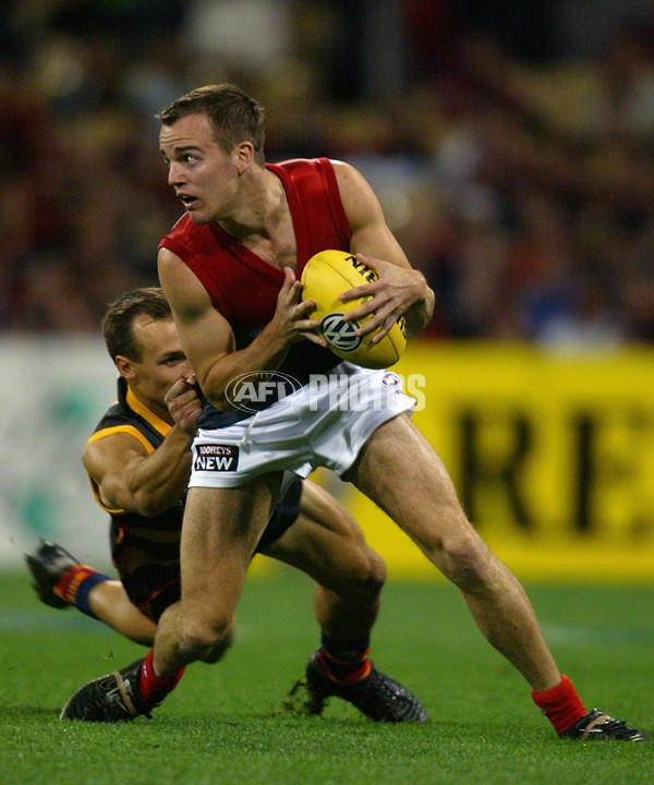 AFL 2002 2nd Semi Final - Adelaide v Melbourne - 134314