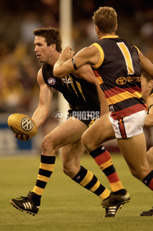 AFL 2002 Wizard Cup Semi Final - Richmond v Adelaide - 134859