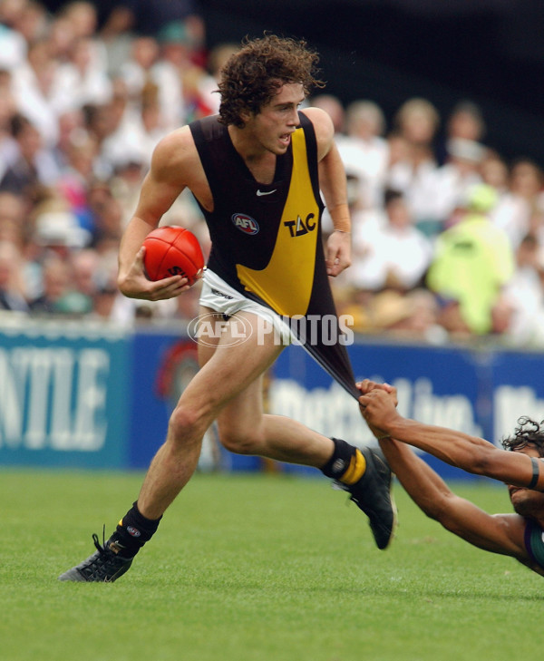 AFL 2002 Rd 4 - Fremantle v Richmond - 134806