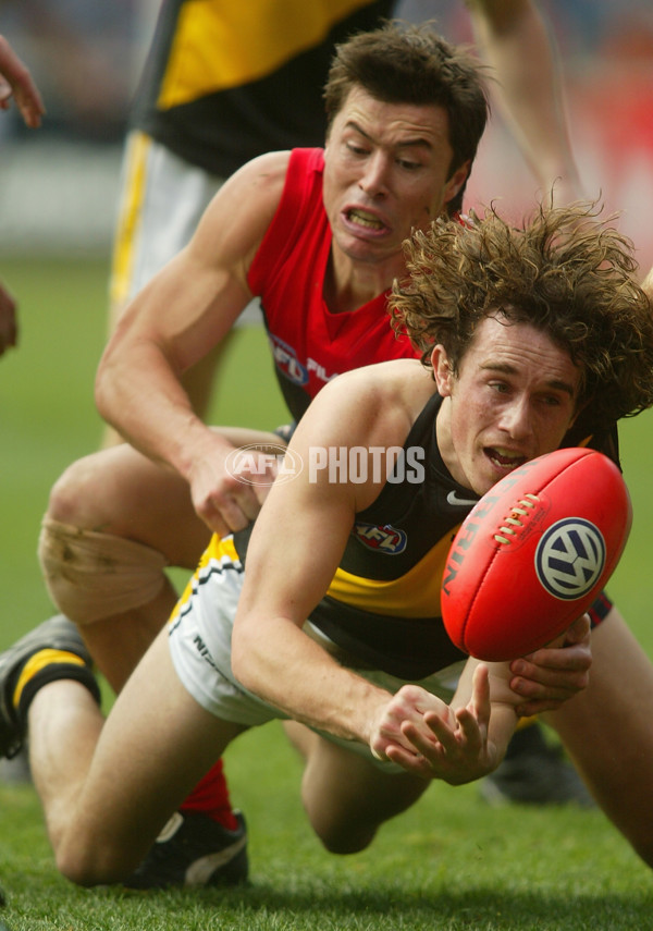 AFL 2002 Rd 18 - Melbourne v Hawthorn - 134970