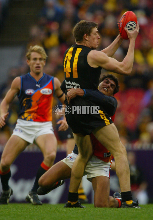 AFL 2002 Rd 8 - Richmond v West Coast - 135006